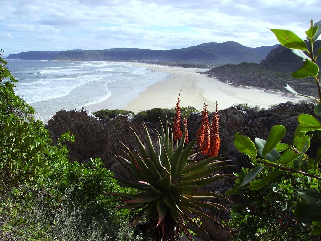 Storms River Guest Lodge Stormsrivier Exterior foto